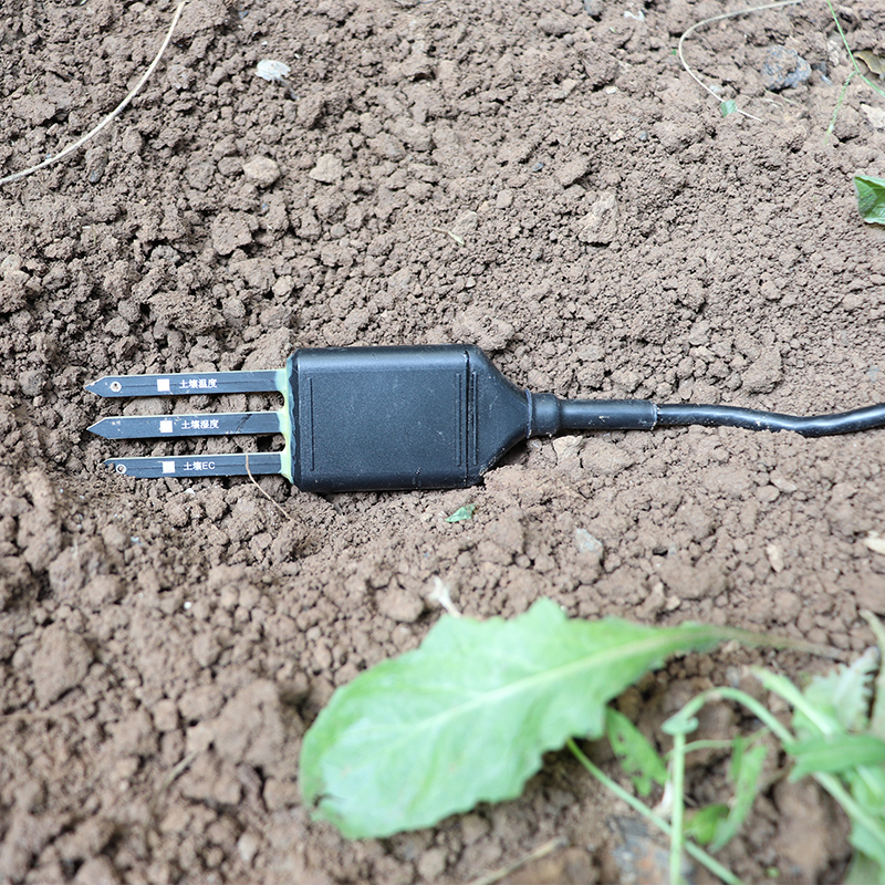 1704805781856315.jpg 2345_image_file_copy_90.jpg