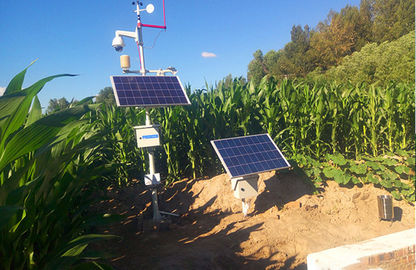 1704853342199336.jpg 氣象站 (22).jpg